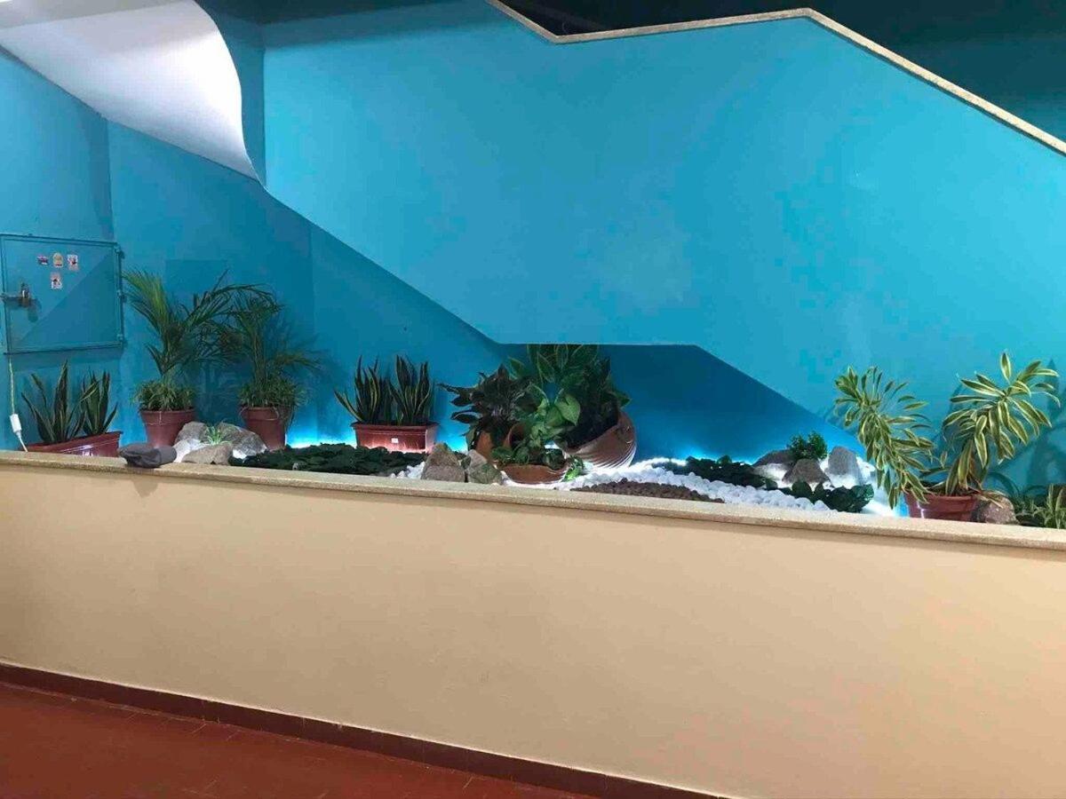 Studio Terreo - Tranquilidade Na Cidade | Wi-Fi | Poucos Metros Da Igreja Matriz. Salinópolis Eksteriør billede